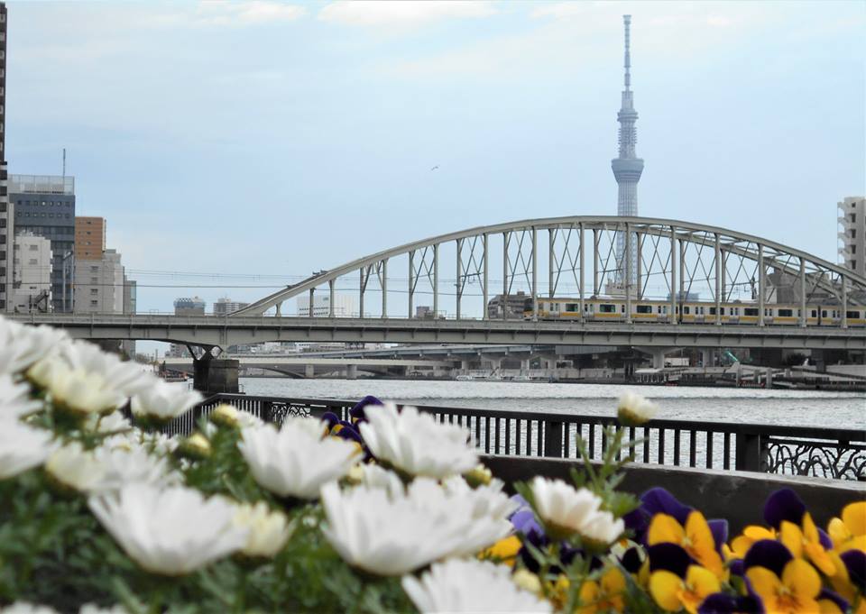 春の東京スカイツリーと隅田川橋梁の画像。